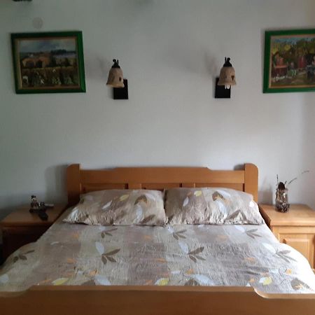 Ilkicev Kucerak Apartman Vrdnik Zewnętrze zdjęcie