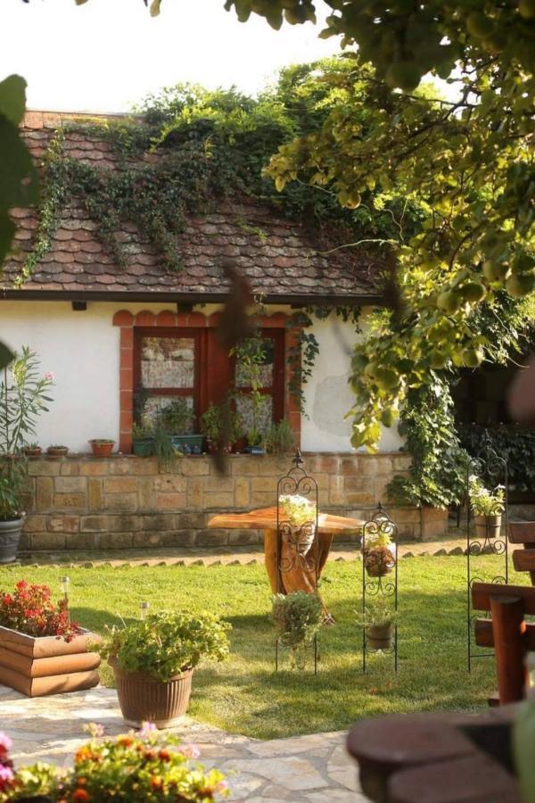 Ilkicev Kucerak Apartman Vrdnik Zewnętrze zdjęcie